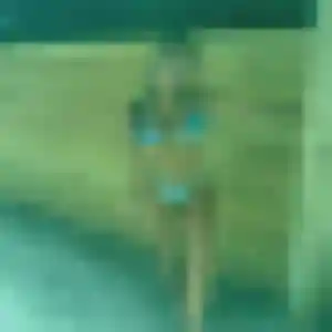 Belle Ines, 30 ans à Maubeuge - la contacter