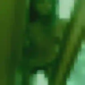 Frederique de Mauges-sur-Loire, 34 ans - rencontre plan cul discret