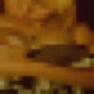 Photo de Cyrielle à Mauléon (36 ans) - rencontre plan cul anonyme