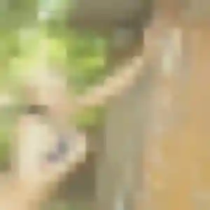 Charmante Cassandre, 32 ans à Melesse - voir sa photo