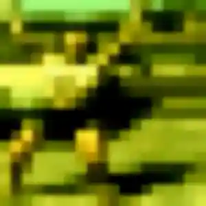 Cecile de Melesse, 23 ans - rencontre plan cul en toute liberté