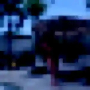 Marie-Jose, fille de 24 ans cherche rencontre plan cul à Mérignac