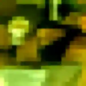 Découvre Charlotte, 22 ans à Merville gratuitement