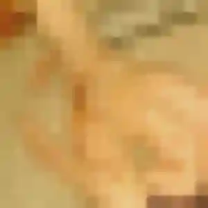 Hilary, fille de 43 ans cherche rencontre plan cul à Mesnils-sur-Iton