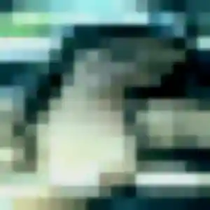 Rejoins Dana, 25 ans à Mézidon Vallée d'Auge gratuitement