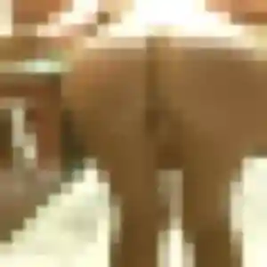 Nelly, 24 ans, connectée à Mézidon Vallée d'Auge pour une rencontre coquine