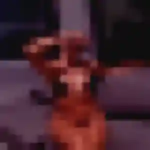 rencontre plan cul à Mézidon Vallée d'Auge : photo de Zineb, 40 ans - accès libre