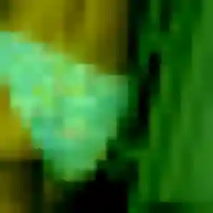 Photo sexy de Albertine, 26 ans à Moissy-Cramayel - rencontre sans lendemain