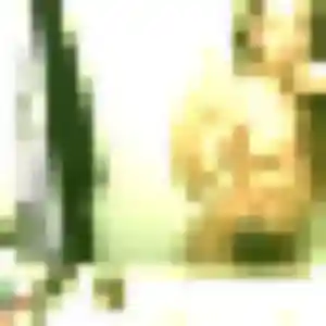 rencontre plan cul à Monistrol-sur-Loire : profil de Johanna, 33 ans - inscription gratuite