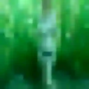 Photo sexy de Huguette, 33 ans à Montauroux - plan discret