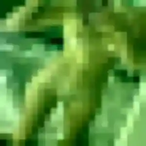 Contacte Audrey, 20 ans à Mougins en t'inscrivant