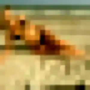 Photo perso de Janine, 41 ans à Mougins - plan discret