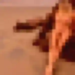 Axelle (41 ans) à Mourmelon-le-Grand cherche un rencontre plan cul ce soir