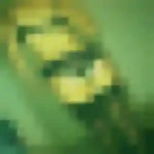 Odile, 41 ans, disponible à Mourmelon-le-Grand pour une rencontre coquine