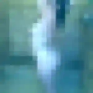 rencontre plan cul à Neuilly-sur-Seine : profil de Anne-Laure, 19 ans - inscription gratuite