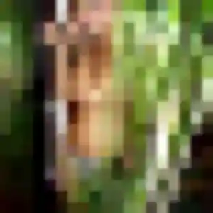 Eugenie, 42 ans, disponible à Neuville-en-Ferrain pour un rencontre plan cul