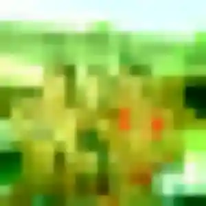 Marie-Laure, 26 ans, dispo pour rencontre plan cul à Nieppe