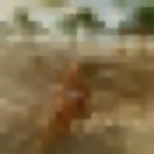 Domitille, 28 ans, dispo pour rencontre plan cul à Notre-Dame-de-Bondeville