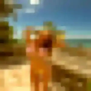 rencontre plan cul à Notre-Dame-de-Bondeville : profil de Mia, 19 ans - sans engagement