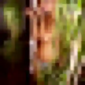 Charmante Samira, 34 ans à Nueil-les-Aubiers - voir sa photo