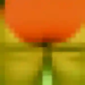 Quitterie (26 ans) à Nuits-Saint-Georges attend une rencontre ce soir