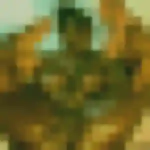 Photo privée de Idalina, 45 ans à Oissel - rencontre sans lendemain