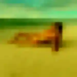 Photo exclusive de Alexandra, 31 ans à Ollainville - rencontre coquine