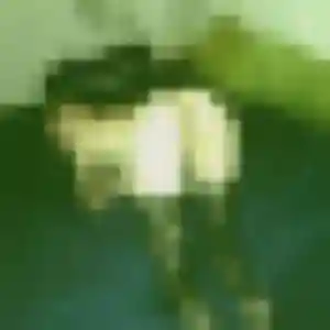 Penelope (33 ans) à Orchies cherche un rencontre plan cul rapidement