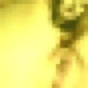 Photo privée de Adelaide, 26 ans à Oullins-Pierre-Bénite - rencontre coquine