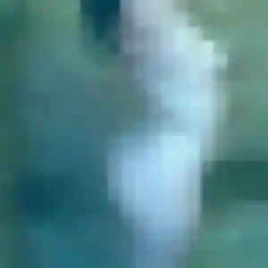 Découvre Helene, 45 ans à Palavas-les-Flots en t'inscrivant