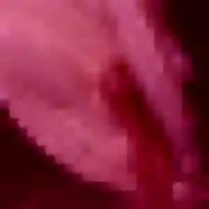 Hilary (37 ans) à Pégomas attend une rencontre rapidement