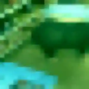 Photo perso de Edith, 33 ans à Pélissanne - plan discret