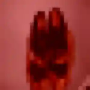 Photo de Anne-Charlotte à Petit-Caux (26 ans) - rencontre plan cul gratuit