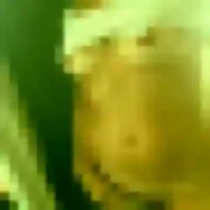 Gabrielle, femme de 45 ans veut rencontre plan cul à Petite-Forêt