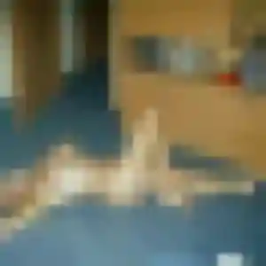 Profil de Valerie à Petite-Forêt (42 ans) - rencontre plan cul anonyme