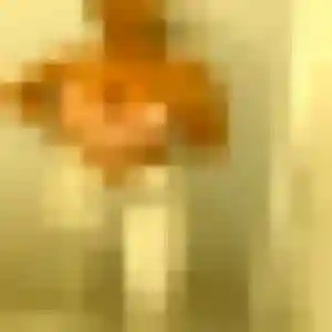 Belle Rachel, 26 ans à Petite-Rosselle - découvrir son profil