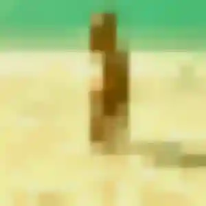 rencontre plan cul à Pont-Saint-Esprit : photo de Honorine, 19 ans - accès libre