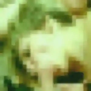 Dina, fille de 32 ans cherche rencontre plan cul à Pornic