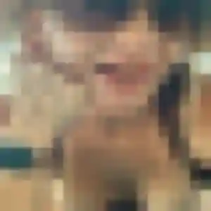 Profil de Lina à Pornic (31 ans) - rencontre plan cul sans inscription