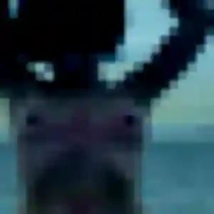 Kawtar (19 ans) à Port-Jérôme-sur-Seine propose une rencontre aujourd'hui