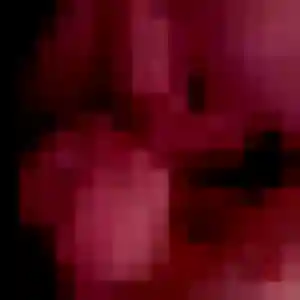 rencontre plan cul à Privas : photo de Sixtine, 36 ans - accès libre