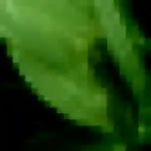 Marie-Jose, 28 ans, disponible à Quesnoy-sur-Deûle pour un rencontre plan cul