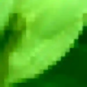 Edith, 38 ans, connectée à Questembert pour un rencontre plan cul