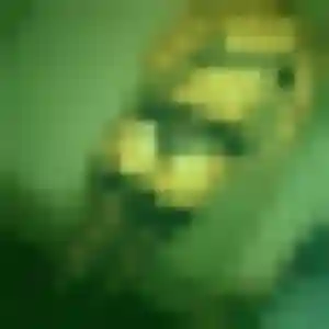 Photo de Henriette à Quetigny (28 ans) - rencontre plan cul discret