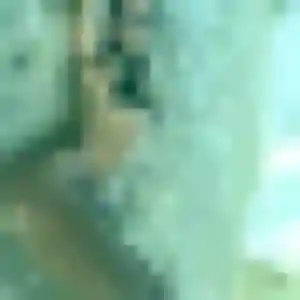 Belle Siham, 36 ans à Riantec - découvrir son profil