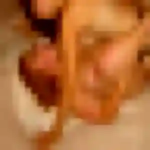 Amandine, fille de 25 ans veut rencontre plan cul à Rillieux-la-Pape