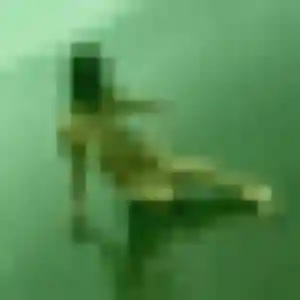 rencontre plan cul à Rillieux-la-Pape : photo de Muriel, 35 ans - inscription gratuite