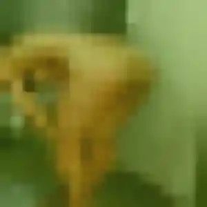 Sexy Djamila, 19 ans à Romans-sur-Isère - la contacter