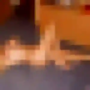 Vanessa, 32 ans, connectée à Roquebrune-Cap-Martin pour une rencontre coquine