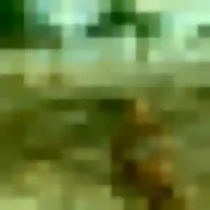 Photo privée de Sarah, 30 ans à Roquebrune-sur-Argens - plan discret